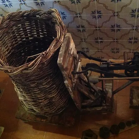 Curral De L Tiu Pino * Sendim (Braganca)