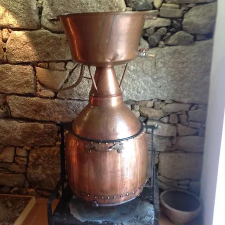 Curral De L Tiu Pino