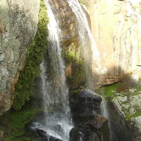 Vakantieboerderij Curral De L Tiu Pino