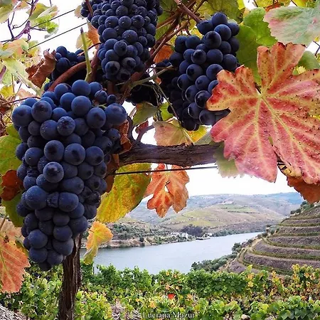 Curral De L Tiu Pino Alojamento de Turismo Rural Sendim (Braganca)