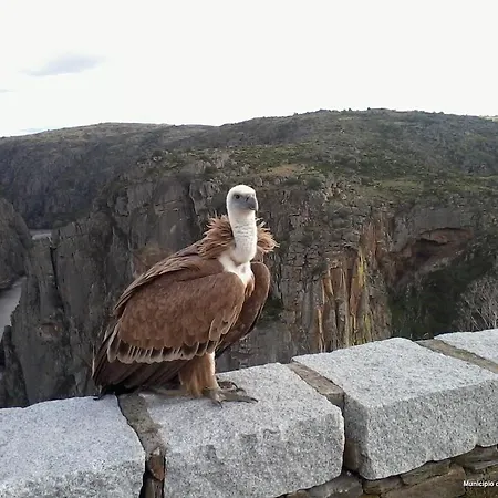 Curral De L Tiu Pino Sendim (Braganca)