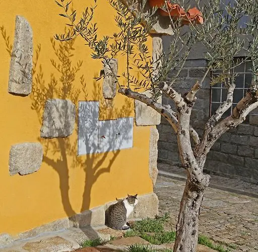 Curral De L Tiu Pino *