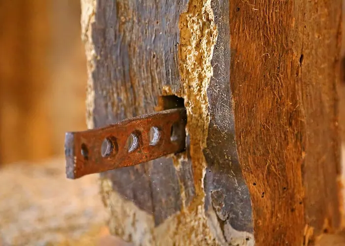 Farma Curral De L Tiu Pino *